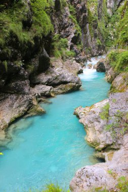 Slovenya 'daki güzel taze dağ nehri Soca
