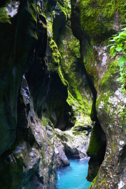 Slovenya 'daki Soca Nehri' ndeki Kanyon