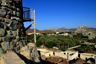 Hatta Heritage Village ile palmiye ağaçları, Birleşik Arap Emirlikleri