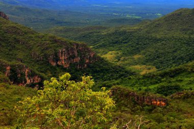 Chapada dos Veadeiros 'un manzarası