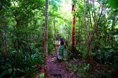 Karayipler 'deki en güzel yer Saint Lucia' daki Marigot Körfezi.