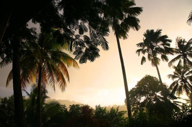 Karayipler 'deki en güzel yer Saint Lucia' daki Marigot Körfezi.
