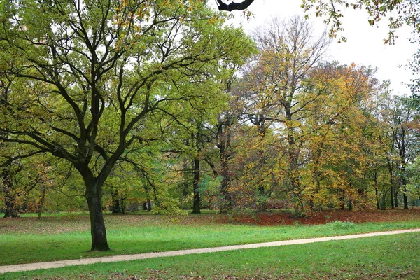 Urban green park in Berlin, Germany