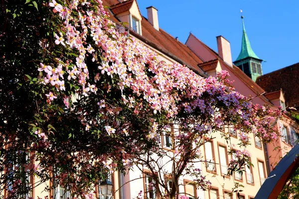 Colorido Cidade Colmar Alsácia França — Fotografia de Stock