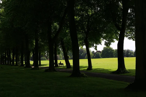 Grüne Bäume Städtischen Londoner Stadtpark England — Stockfoto