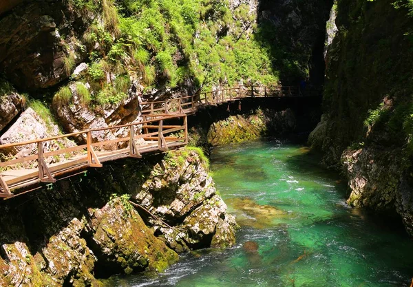 スロベニアのヴィンターガー渓谷の美しい緑の水 — ストック写真