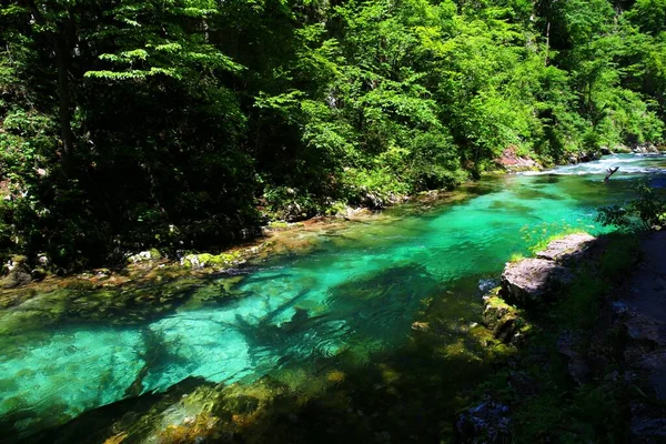 Piękna Zielona Woda Vintgar Gorge Słowenia — Zdjęcie stockowe