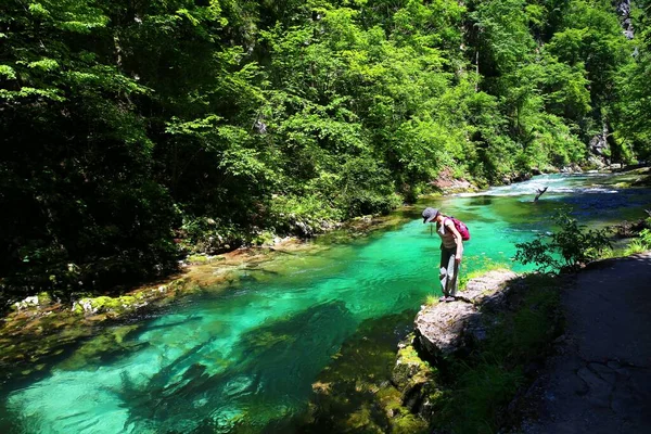 Bela Água Verde Vintgar Gorge Eslovénia — Fotografia de Stock