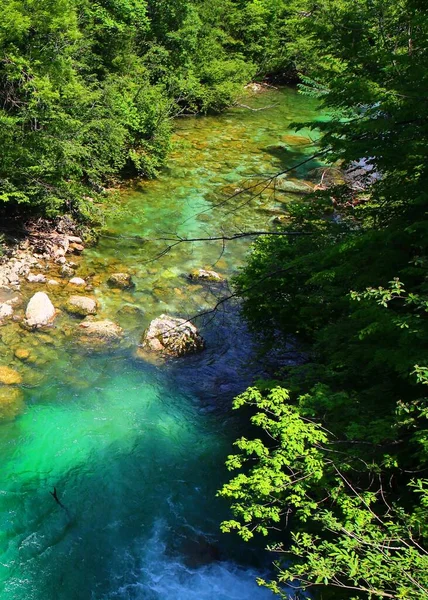 Όμορφο Πράσινο Νερό Στο Φαράγγι Vintgar Σλοβενία — Φωτογραφία Αρχείου