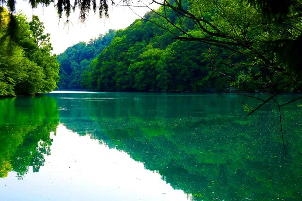 Slovenya 'daki güzel taze dağ nehri Soca