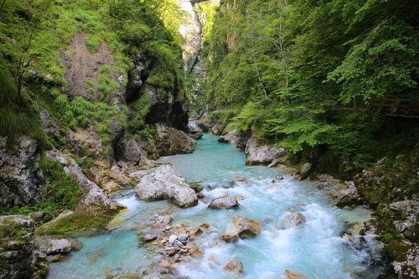 Красивая Свежая Горная Река Соча Словении — стоковое фото