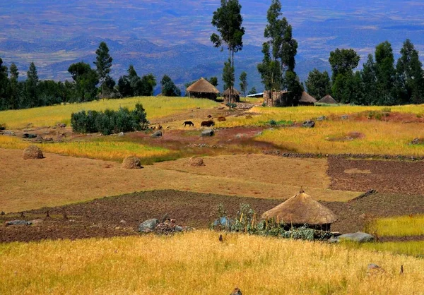埃塞俄比亚Lalibela高地的村庄 — 图库照片