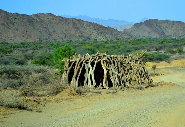 Edilizia Rurale Legno Animali Afar Etiopia — Foto Stock