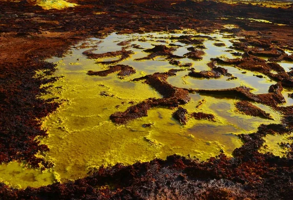 Δαλόλη Κίτρινη Επιφάνεια Κατάθλιψη Danakil — Φωτογραφία Αρχείου