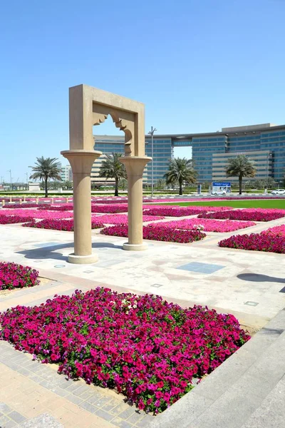 Червоні Квіти Бур Дубаї — стокове фото