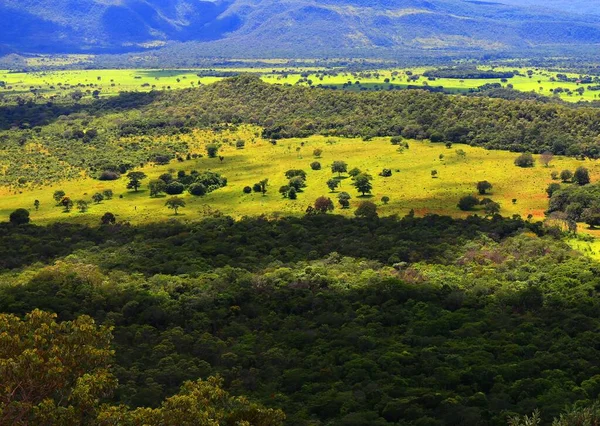 Prachtige Groene Velden Bergen Chapada Dos Veadeiros Brazilië — Stockfoto
