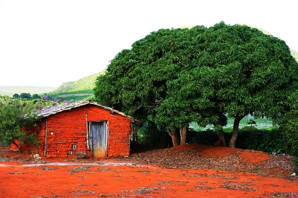 Simple House Rural Area Chapada Diamantina Brazil — Stock Photo, Image