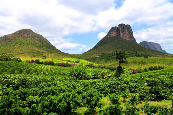Brezilya, Chapada Diamantina 'da güzel bir kırsal alan
