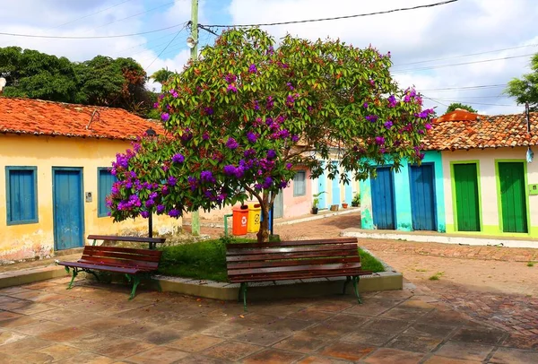 Χαριτωμένο Αγροτικό Σπίτι Στο Igatu Chapada Diamantina Βραζιλία — Φωτογραφία Αρχείου