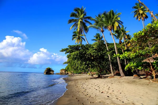 Anse Castanet 'in yemyeşil plajı, Soufriere, Saint Lucia