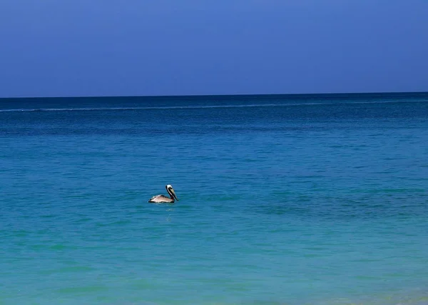 安提瓜和巴布达一个加勒比岛屿上的热带奇异海滩 — 图库照片