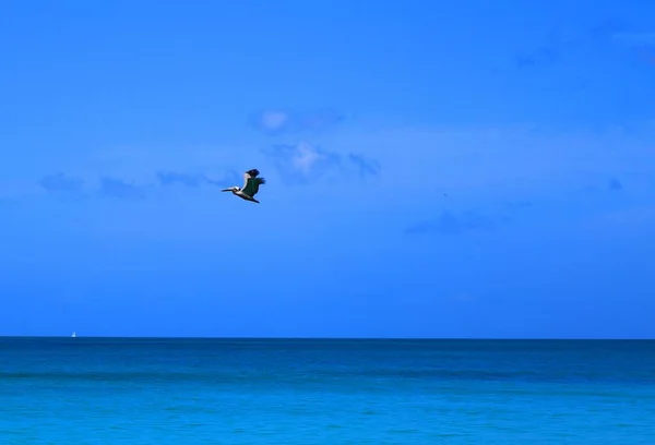 Тропический Экзотический Пляж Карибском Острове Антигуа Барбуде — стоковое фото