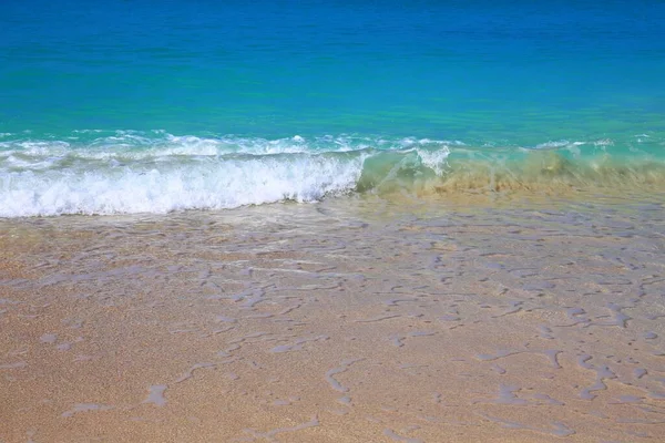 Plage Exotique Tropicale Sur Une Île Des Caraïbes Antigua Barbuda — Photo