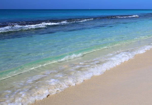Tropisch Exotisch Strand Een Caribisch Eiland Antigua Barbuda — Stockfoto