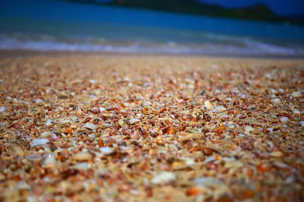 Una Spiaggia Piena Piccole Conchiglie Antigua — Foto Stock