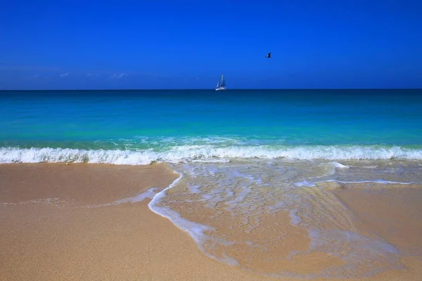 Tropisk Exotisk Strand Karibisk Antigua Och Barbuda — Stockfoto