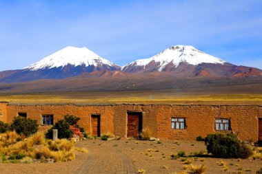 Sajama Ulusal Parkı, Bolivya