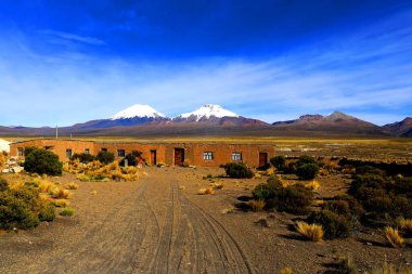 Sajama Ulusal Parkı, Bolivya