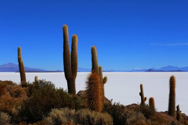 Salar de Uyuni, Bolivya