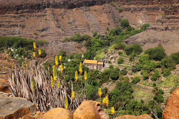 Sao Felipe Kraliyet Kalesi Nden Santiago Adası Cape Verde — Stok fotoğraf