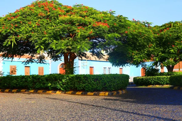Blue Church Square Sao Felipe Fogo Cape Verde — Stock Photo, Image