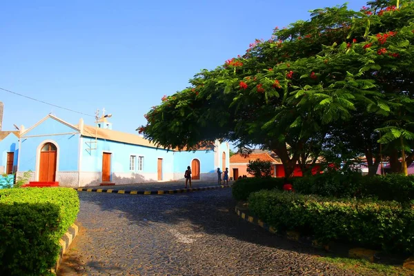 Blaue Kirche Auf Dem Platz Sao Felipe Fogo Kapverden — Stockfoto