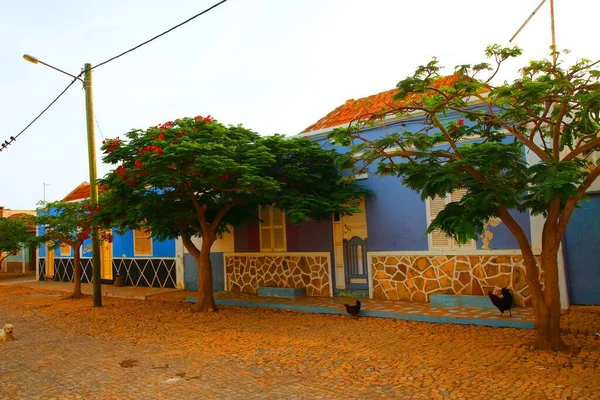 Kleurrijke Schattige Huizen Vila Maio Cape Verde — Stockfoto