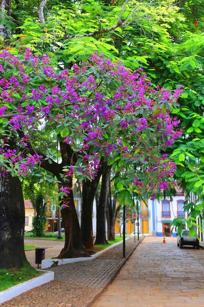 Αποικιακή Πόλη Minas Gerais Mariana — Φωτογραφία Αρχείου