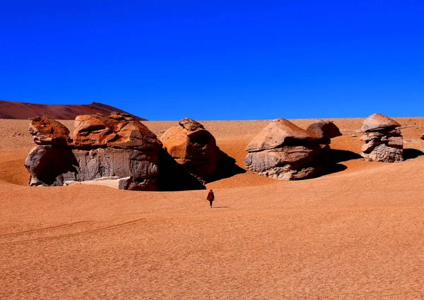 Désert Bolivien Pittoresque Coloré — Photo