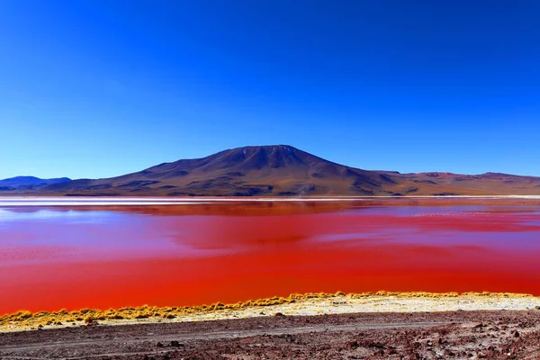 Splendida Laguna Colorada Nel Deserto Boliviano — Foto Stock