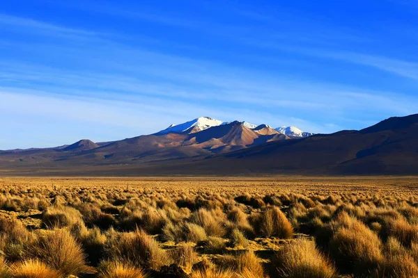 Parque Nacional Sajama Bolívia — Fotografia de Stock