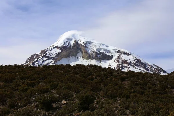 Park Narodowy Sajama Boliwia — Zdjęcie stockowe