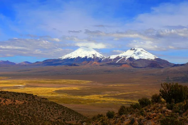 Parco Nazionale Del Sajama Bolivia — Foto Stock