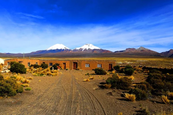 Park Narodowy Sajama Boliwia — Zdjęcie stockowe