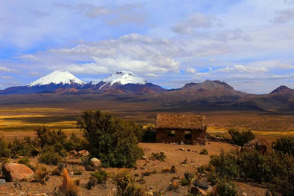 Park Narodowy Sajama Boliwia — Zdjęcie stockowe