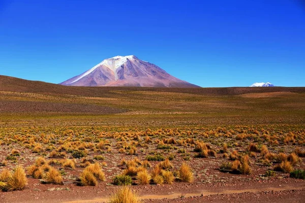 Deserto Boliviano Alta Quota Nelle Ande Sud America — Foto Stock