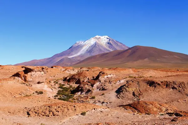 Deserto Boliviano Alta Quota Nelle Ande Sud America — Foto Stock
