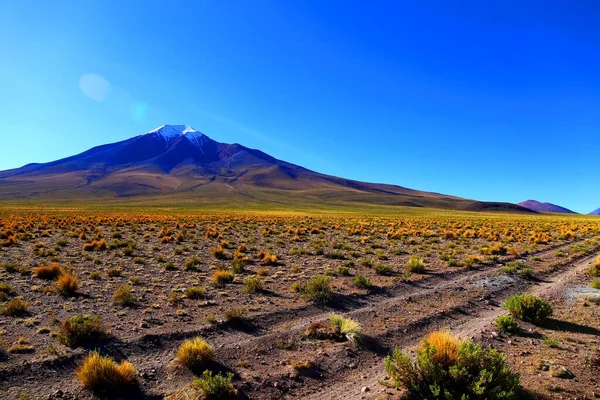 Deserto Boliviano Alta Quota Nelle Ande Sud America — Foto Stock