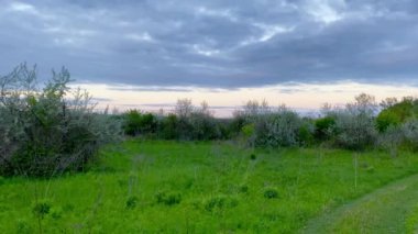 Beautiful countryside nature after the rain with dark blue skies