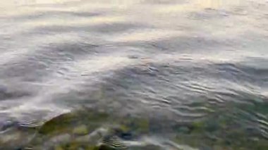 Beautiful river Prut in the countriside
